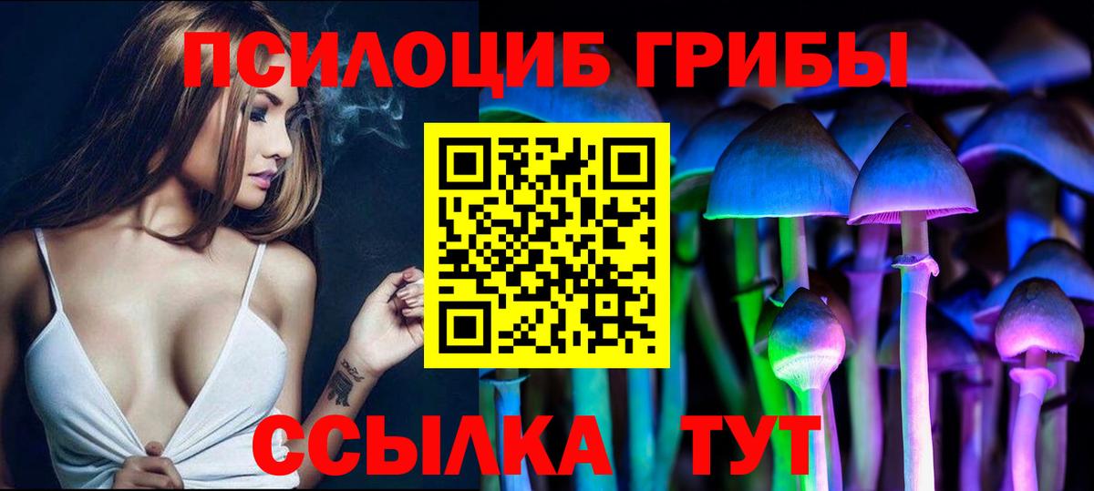 где найти   Псилоцибиновые грибы ЛСД  Вход с VPN  Кыштым 